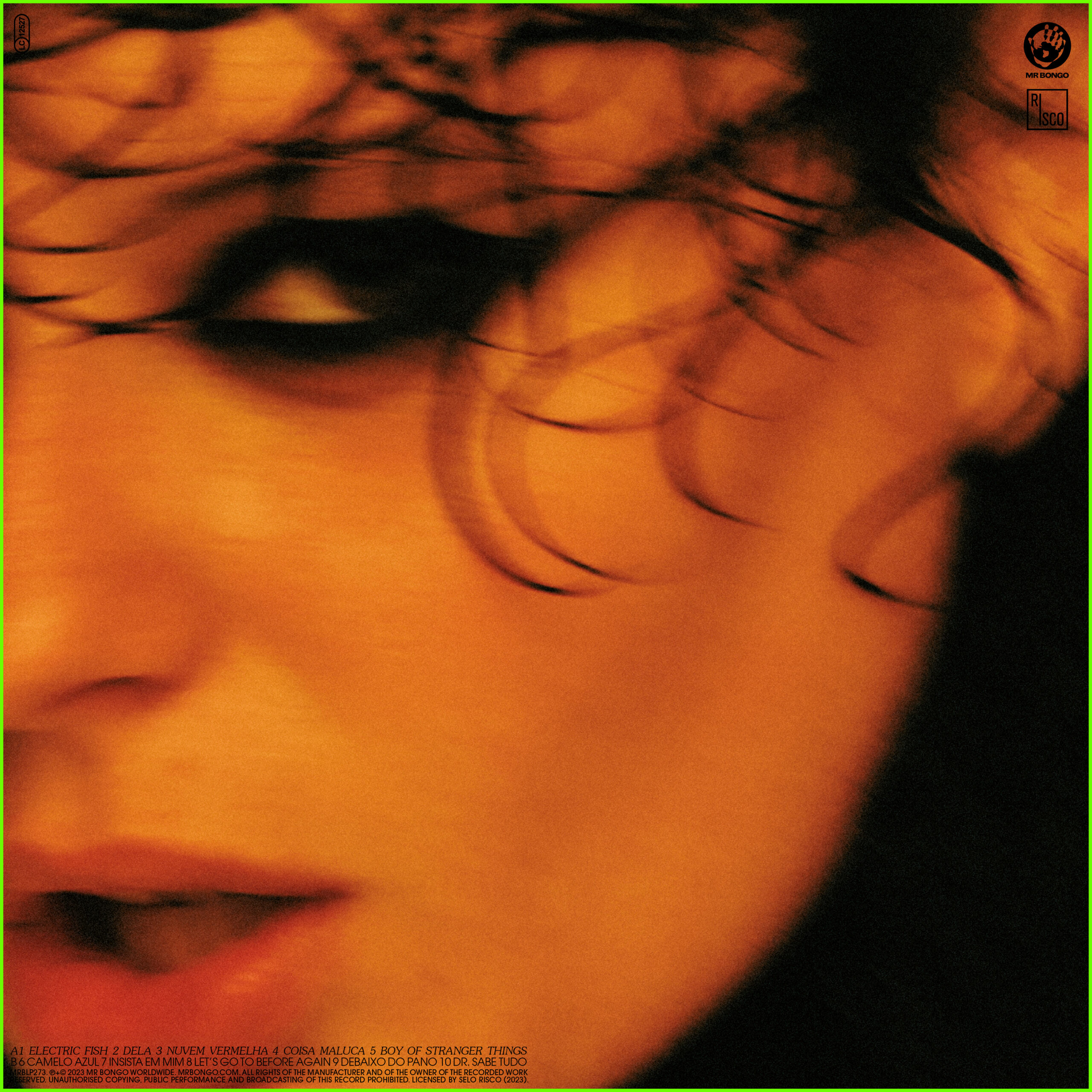 Ana Frango Elétrico / Electric Fish | OTOTSU